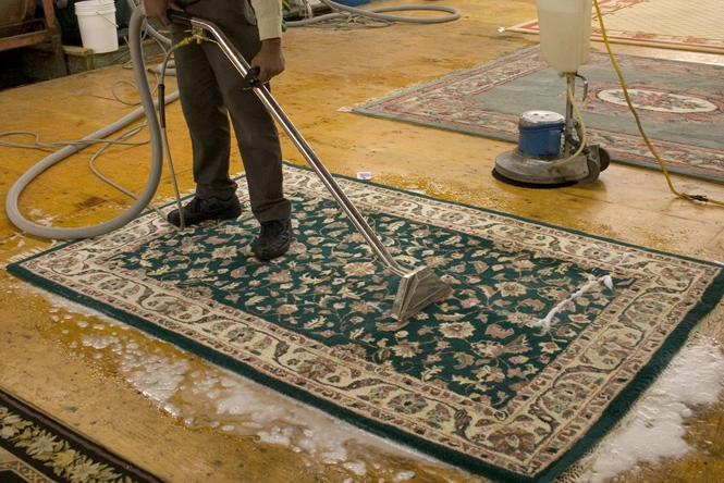 Rug Cleaning