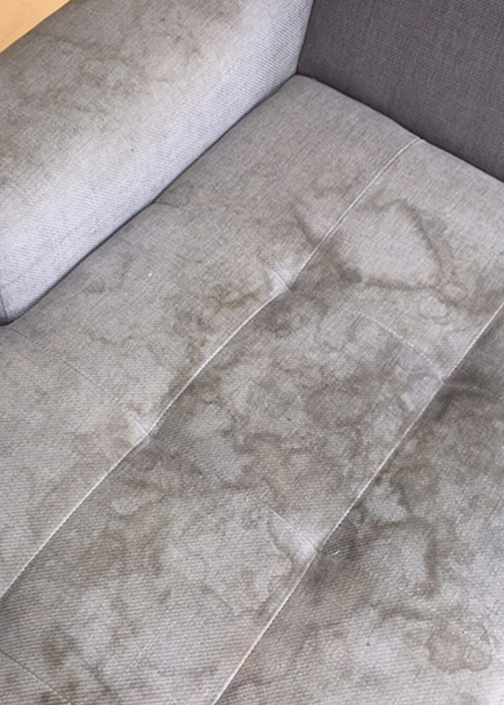 Upholstery Before Cleaning